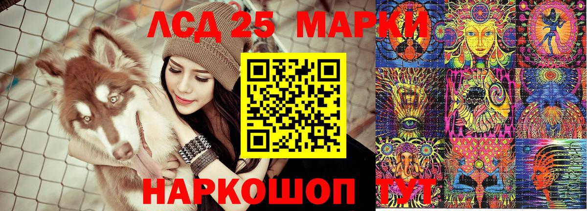 Марки N-bome 1500мкг  Вход с VPN  Борзя  Марки N-bome 1500мкг 