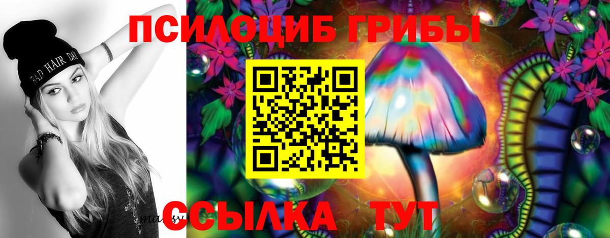 Борзя  Галлюциногенные грибы Cubensis  Вход с VPN 